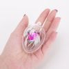 5 PCS Clear Plastic Easter Christmas Balls Baubles Sphere Fillable Xmas Tree Ornament