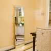 Full Length Mirror Floor Mirror Hanging Standing or Leaning; Bedroom Mirror Wall-Mounted Mirror with Gold Aluminum Alloy Frame; 59" x 15.7"