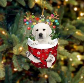 Christmas Tree Socks Dog Pendant Decoration Holiday Gift (Option: color40)