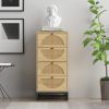 Eco-Friendly Rattan Cabinet with 4 Drawers – Versatile Storage Solution for Living Room, Bedroom, and Study