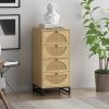 Eco-Friendly Rattan Cabinet with 4 Drawers – Versatile Storage Solution for Living Room, Bedroom, and Study