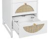 Eco-Friendly Rattan Cabinet with 4 Drawers – Versatile Storage Solution for Living Room, Bedroom, and Study